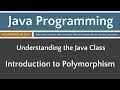 Learn Java Programming - Introduction to Polymorphism