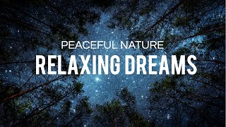 5 Hours of Beautiful Nature Scenery | Relaxing Music for Anxiety & Stress Relief (Dreams of Nature)