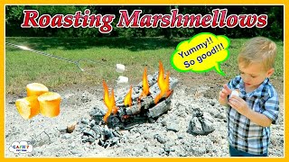 Roasting MARSHMALLOWS In The Fire For Kids