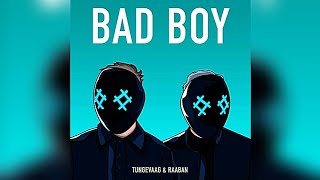 Bad Boy - Tungevaag, Raaban (Music)