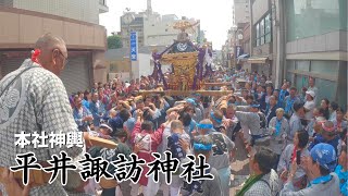 【平井諏訪神社】本社神輿渡御　～2023～