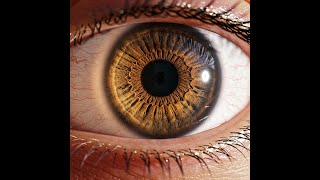 The Observer Effect—Does Reality Change When We Watch It?