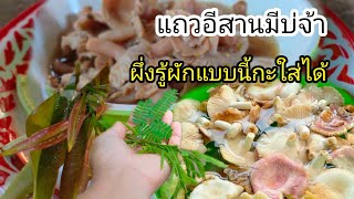 แกงเห็ดหน้าแหล่ปลายเดือนแล้วกะยังได้กินอยู่จ้าทั้งเห็ดกอเห็ดแดงดอกใหญ่|Ep.539