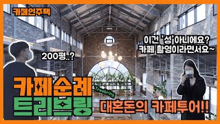 [카페 트리브링] 몽환적인 성에 숲을 꾸며 놓은 특급 대형 카페 추천✨｜베이커리｜카페투어 | 카페인주택