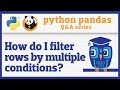 How do I apply multiple filter criteria to a pandas DataFrame?