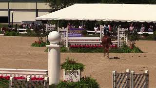 Video of STONEWALL TOP CALL ridden by EMMA RUPINSKI from ShowNet!