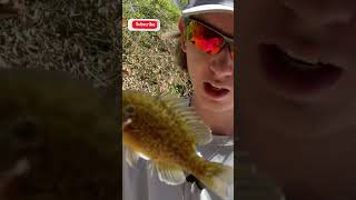 Micro Lure Fishing Challenge: Epic First Catch of the Day!