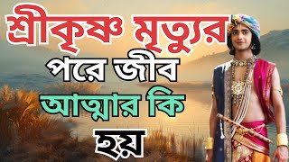 শ্রীকৃষ্ণ মৃত্যুর পরে জীব আত্মার কি হয়||Krishna Kotha||KanhaBangla||