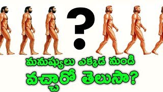 మనుష్యులు ఎక్కడ నుండి వచ్చారో తెలుసా? || Where Did Humans Come From? || T Talks