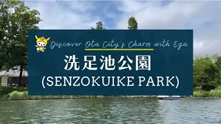 Most Complete Guide to Enjoy Summer in Senzokuike Park, Ota City, Tokyo #洗足池公園 #大田区 #explorejapan