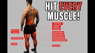 The Best Science-Based Lower Body Workout for Growth (Quads/Hams/Glutes)