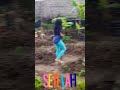 Kebun du & do sblm dan setelah di babat #irt #shortsfeed #kebun #mandiripangan #petani #shorts