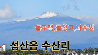 서귀포시 성산읍 수산리 과수원딸린, 돌(석조)주택,창고,무허가주택및과수원