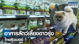 อาหารสัตว์เลี้ยงดาวรุ่งไทยลุ้นเบอร์ 1 | BUSINESS WATCH | 03-11-65