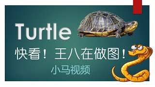 【Python】turtle - 快看!王八在做图!