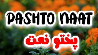 Pashto New Naat | Pashto Naat 2023 | Islamic Garden