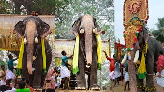 കിഴൂരിന്റെ മണ്ണിൽ നിലവ്‌നിന്ന്  കാളി|chirakkal kalidasan |kizoor pooram 2022