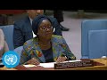 African Union: cooperation with the UN - Security Council Briefing | United Nations