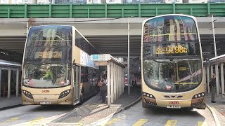 Hong Kong Bus KMB ATENU549 @ 2A 九龍巴士 Alexander Dennis Enviro500 MMC 美孚 - 樂華