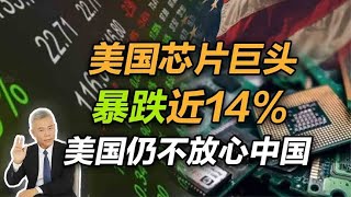 司马南：美国芯片巨头暴跌近14%，美国仍不放心中国