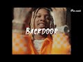 [HARD] No Auto Durk x Lil Durk Type Beat 2022 - 