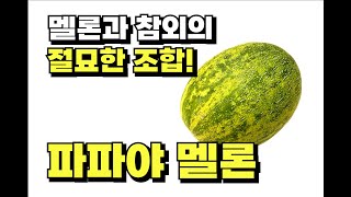 멜론 + 참외의 절묘한 조합!! 파.파.야.멜.론