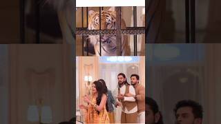 Ishqbaaz Oberoi Family Funny😂 Shorts || Oberoi Mansion Me Aya Tiger😱 || #shorts #funny #viralvideo