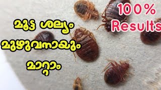 മൂട്ടശല്യം ഒഴിവാക്കാൻ കിടിലൻ ടിപ്സ്  || 💯വർക്സ് ||how to kills bedbugs easily