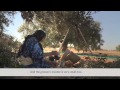 Growing Tunisia's Olive Industry