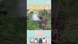 河狸 第68集 下