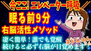 【ネドじゅん】眠る前９分一日一回で必ず右脳さんが活性化します｜今ここ➕エレベーターの呼吸｜自動思考を抹消｜心地良い水の音に癒される新しい右脳活性化メソッド✨