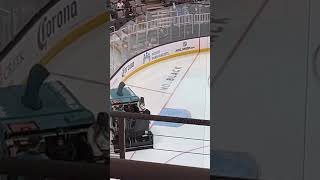 Shark Zamboni ￼