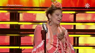 María de la Colina – 'Fandangos rocieros' en Tierra de Flamenco