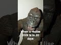 2023 THE FASTEST YEAR EVER #actionfigures #posing #viral #comedy #kingkong