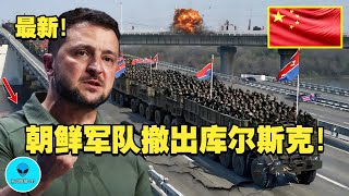 热！朝鲜军队撤出库尔斯克！韩国和乌克兰发表不同寻常的声明！普京准备决战