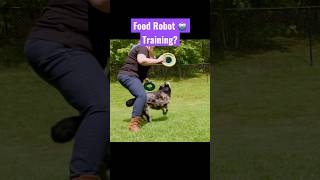 Training AMAZING Frisbee Dog Trick with a Food Robot