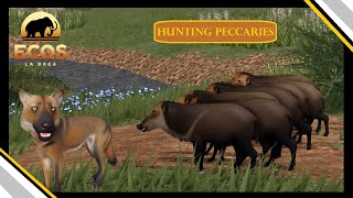 Hunting the New PECCARIES (and other stuff) | Ecos: La Brea