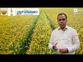 crop insurance week pmfby