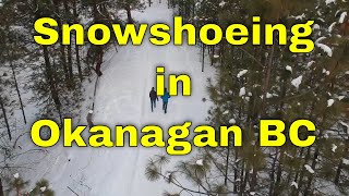 Snowshoeing in the Okanagan with a Drone