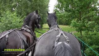 hooien met paard en wagen 2021 park Bloeyendael Utrecht