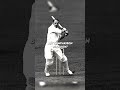 Don't Compare With Sir Don Bradman 🐐 #shorts #cricket #trending #viral