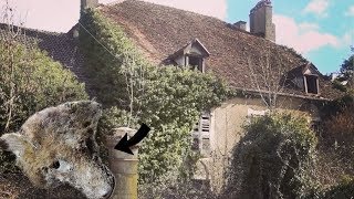 Huge Abandoned Hunters Mansion Decaying In Time *Found DEAD FOX!*