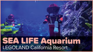 SEA LIFE Aquarium | LEGOLAND California Resort