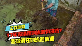 17年沒清理的泳池有多臟？超級解壓的泳池清理 #科學實驗 #科學試驗 #格蘭特 #亞當 #傑米