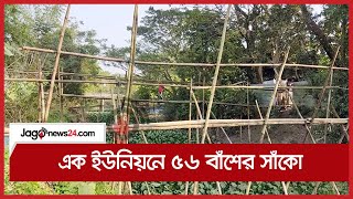 এক ইউনিয়নে ৫৬ বাঁশের সাঁকো || Jago News