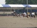 The Royal Windsor Horse Show - Pony Club Mounted Games - DAKS