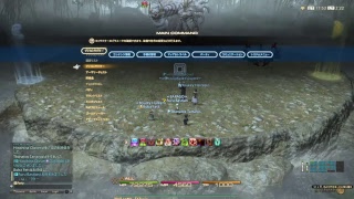 【FF14　実況】アルテマ鯖のヘナチョコ戦士が放送中！！初心者さんでもコメント大歓迎！！いつものやつやってから極白虎やろうかな編