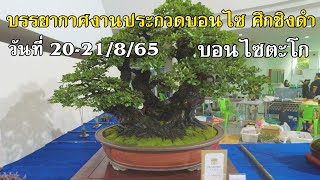 Bonsai Station ทัวร์งานประกวดบอนไซ ศึกชิงดำ บอนไซตะโก