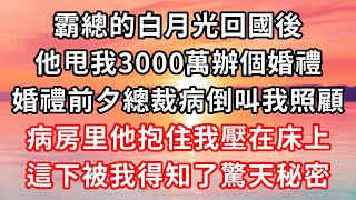 #路秘書辭職后 （二）霸總的白月光回國後，他甩我3000萬辦個婚禮，誰料總裁突然病倒叫我照顧，這下被我得知了驚天秘密！#心靈回收站 #心靈 #情感故事 #婚姻 #家庭