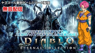 [Diablo3]無音配信♪眠くなるまで初ハクスラしてみる配信♪